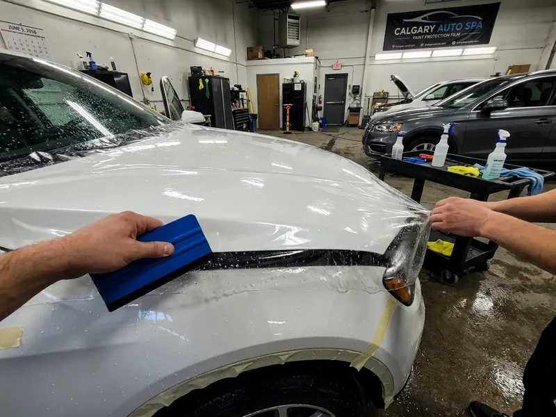 Paint Protection Film